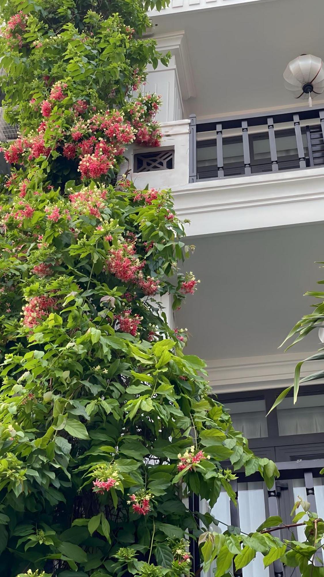 Hoi An Discovery Villa מראה חיצוני תמונה